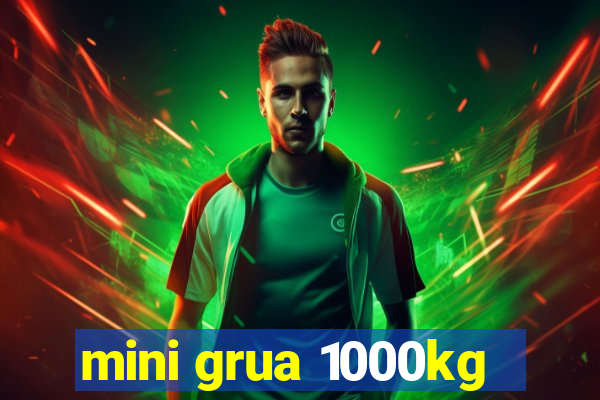 mini grua 1000kg